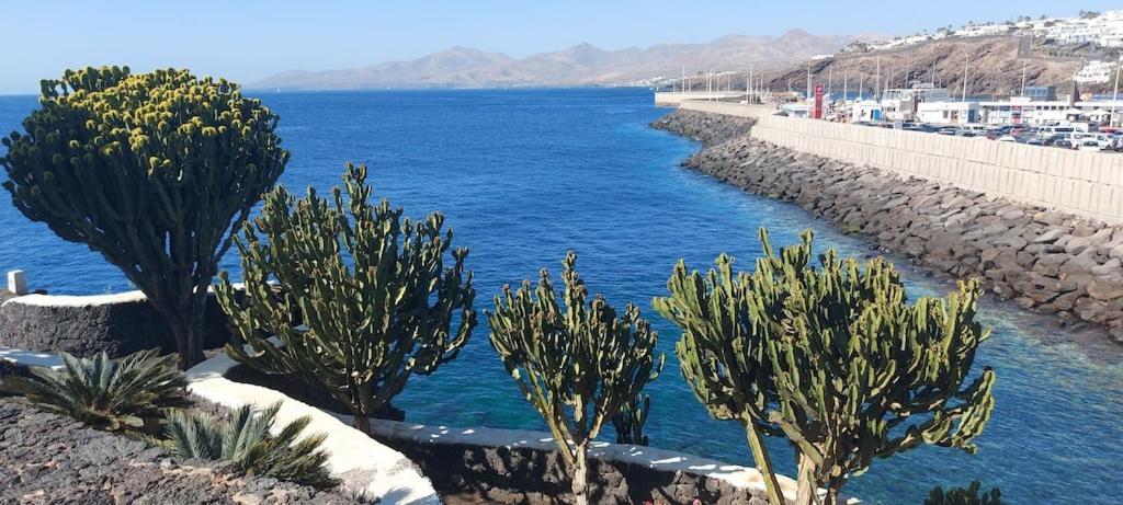 Oceanview Apartment بويرتو ذيل كارمين المظهر الخارجي الصورة